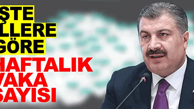 Bakan Koca açıkladı! İşte illere göre haftalık vaka sayısı