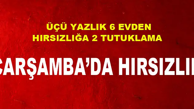 Çarşamba'da üçü yazlık 6 evden hırsızlık yapan 2 kişi tutuklandı