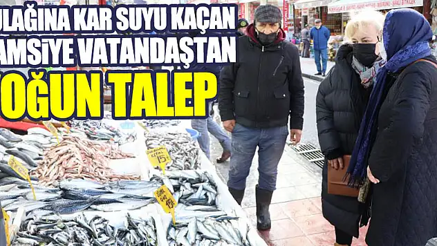 Kulağına kar suyu kaçan hamsiye vatandaştan yoğun talep