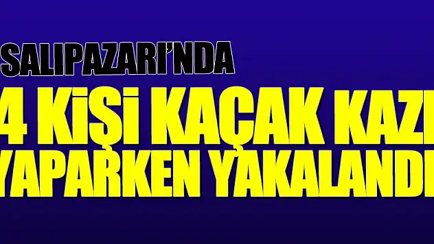 Samsun'da 4 kişi kaçak kazı yaparken yakalandı