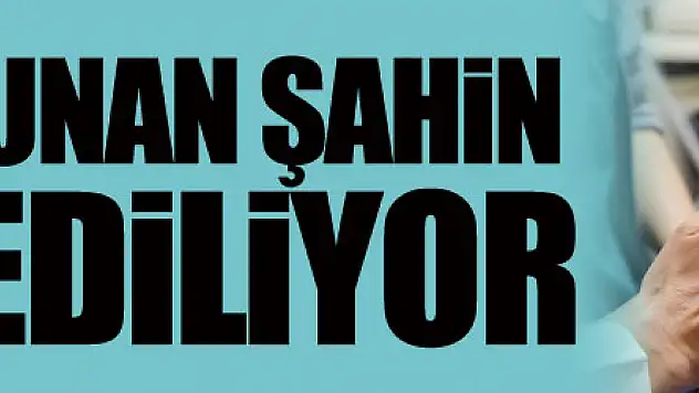 Samsun'da yaralı bulunan şahin tedavi ediliyor   