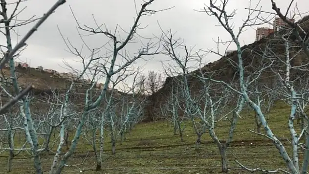 'Bordo bulamacı uygulama zamanını kaçırmayalım'