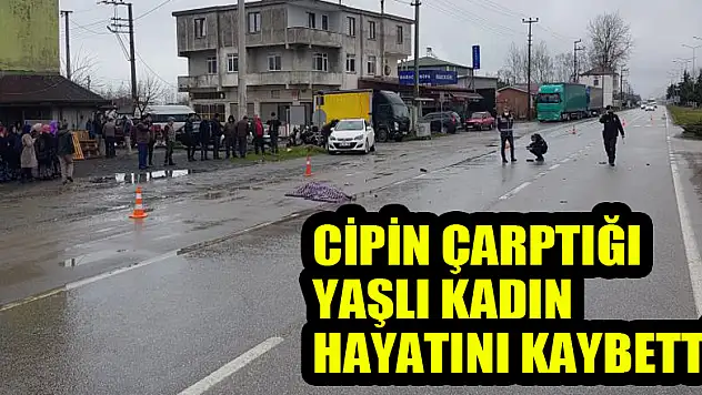 Cipin çarptığı yaşlı kadın hayatını kaybetti