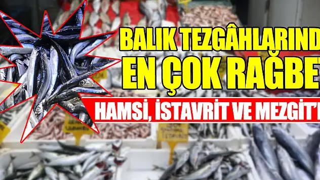 Balık tezgâhlarında en çok rağbeti hamsi, istavrit ve mezgit görüyor