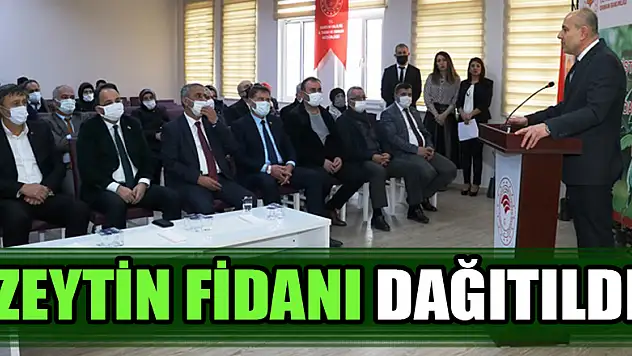 ZEYTİN FİDANI DAĞITILDI