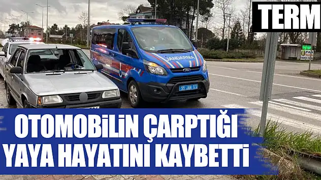 Otomobilin çarptığı yaya hayatını kaybetti