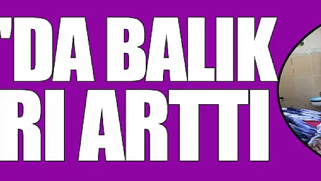 Samsun'da balık fiyatları arttı