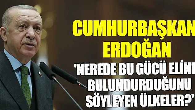 Cumhurbaşkanı Erdoğan: 'Nerede bu gücü elinde bulundurduğunu söyleyen ülkeler?'