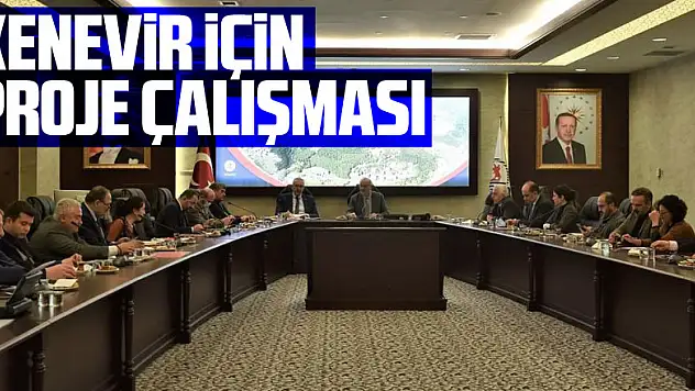 Kenevir için proje çalışması