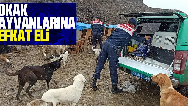 Sokak hayvanlarına şefkat eli