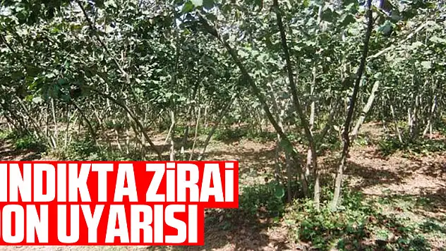 FINDIKTA ZİRAİ DON UYARISI