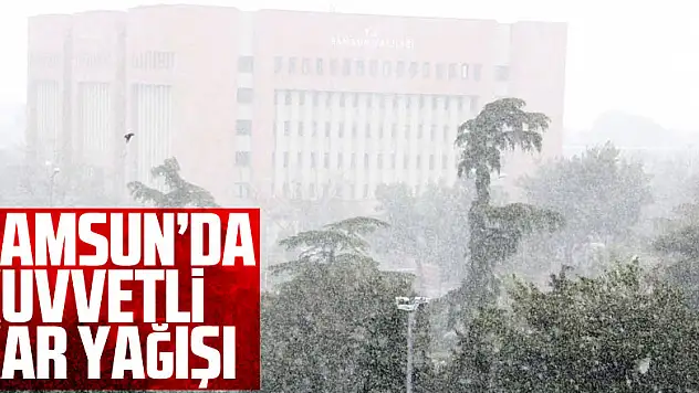 Samsun'da kuvvetli kar yağışı