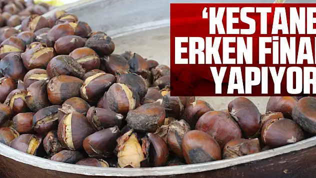 'KESTANE' ERKEN FİNAL YAPIYOR!