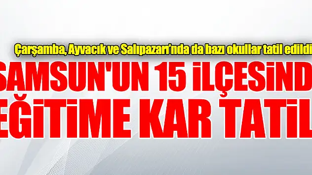 Samsun'un 15 ilçesinde eğitime kar tatili