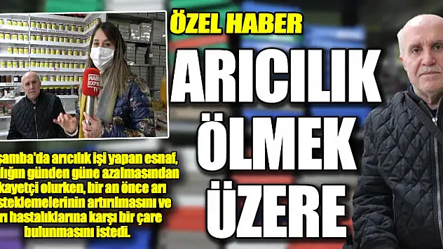 ARICILIK ÖLMEK ÜZERE