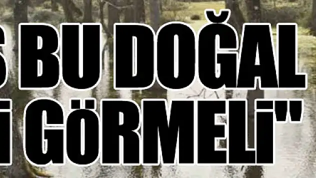 Kuş Cenneti'ne davet: 'Herkes bu doğal güzelliği görmeli'