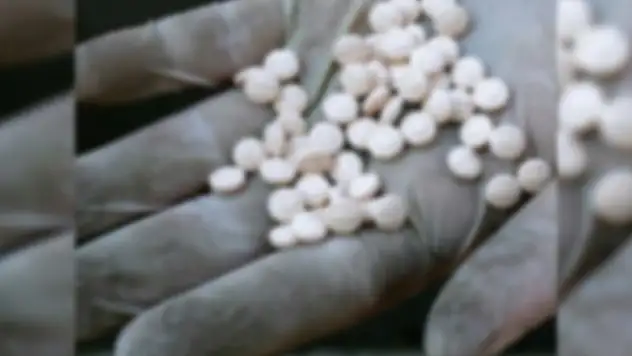  Samsun'da uyuşturucu ticaretinden 2 kişi tutuklandı