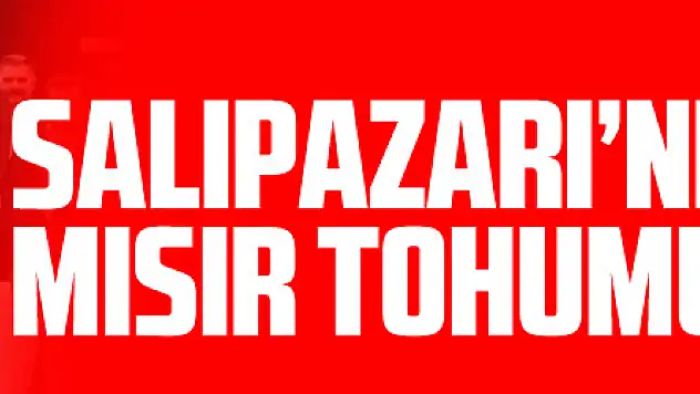 Salıpazarı'nda Silajlık Mısır Tohumu Dağıtıldı