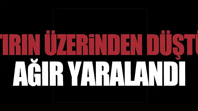 Tırın üzerinden düşen şahıs ağır yaralandı