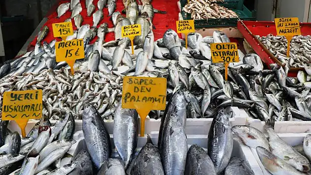 Sezonun son balıkları 15-30 TL arasında tezgahlarda
