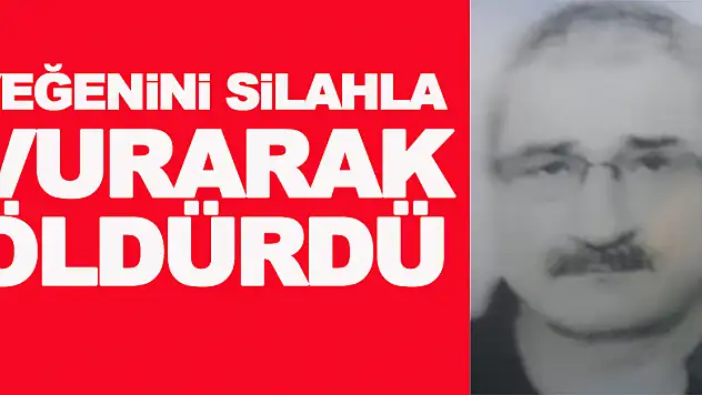 Yeğenini silahla vurarak öldürdü