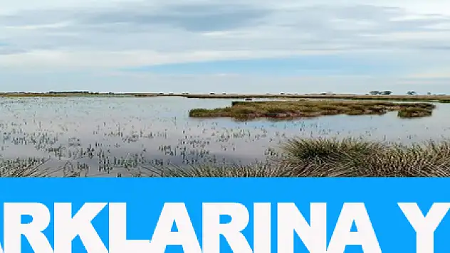 Tabiat parklarına yoğun ilgi