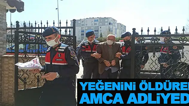 Yeğenini öldüren amca adliyede