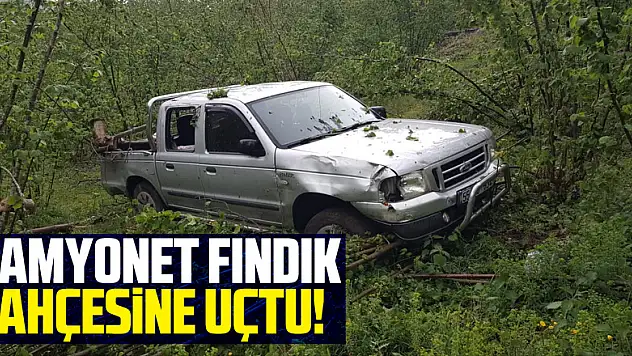 Kamyonet Fındık Bahçesine Uçtu!