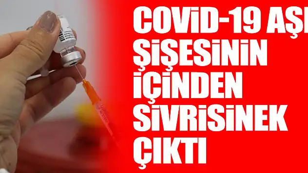 İspanya'da Covid-19 aşı şişesinin içinden sivrisinek çıkması üzerine 764 bin 900 doz Moderna aşısı geri toplatıldı