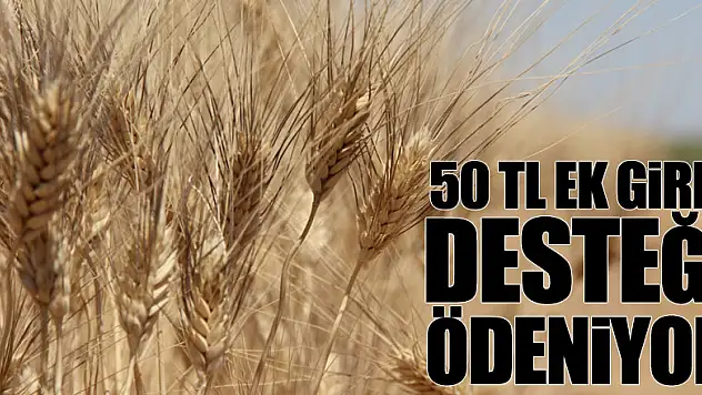 50TL EK GİRDİ DESTEĞİ ÖDENİYOR