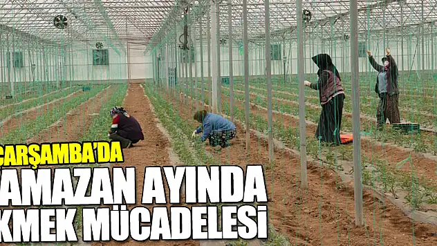 Tarım işçileri ramazan ayında da ekmek mücadelesini sürdürüyor