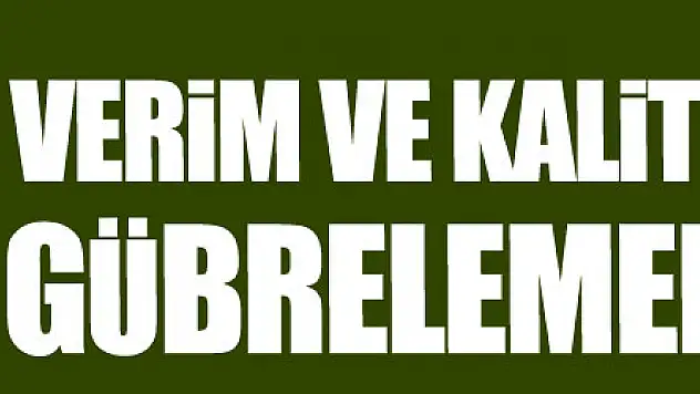 Buğdayda verim ve kalite artışı için gübrelemenin önemi