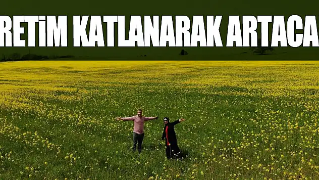 Yüzde 50 yağ oranına sahip kanolanın üretimi katlanarak artacak