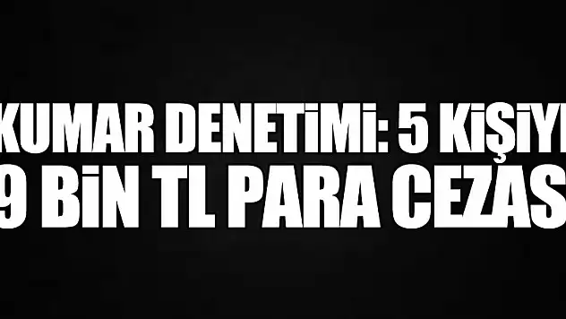 Kumar denetimi: 5 kişiye 9 bin TL para cezası