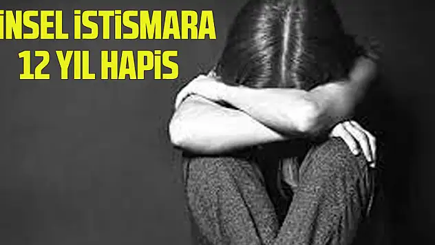 12 yaşındaki kız çocuğuna cinsel istismara 12 yıl 8 ay 22 gün hapis