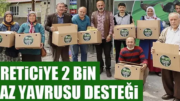 Çarşamba'da üreticiye 2 bin kaz yavrusu desteği