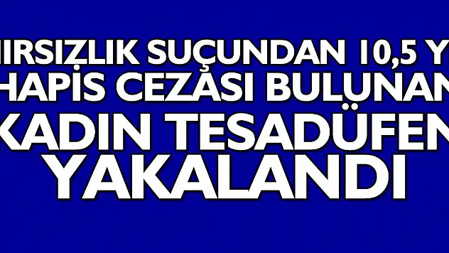 Hırsızlık suçundan 10,5 yıl hapis cezası bulunan kadın tesadüfen yakalandı