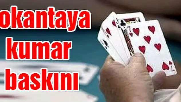 Lokantaya kumar baskını