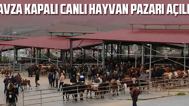 Havza Kapalı Canlı Hayvan Pazarı açıldı