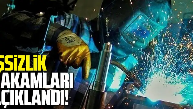 İşsizlik rakamları açıklandı!