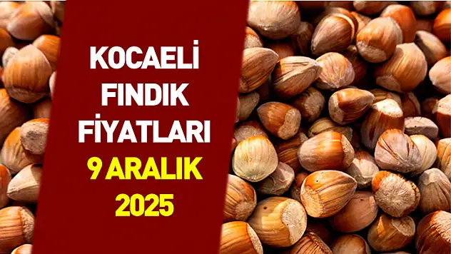 9 Aralık 2025 Kocaeli Fındık Fiyatları | Kocaeli ve Kandıra'da Fındık Fiyatları Güçlü İlerliyor