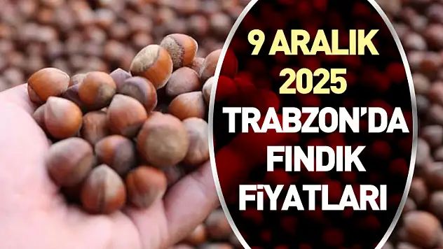 9 Aralık 2025 Trabzon'da Fındık Fiyatları | Salı Piyasası Güçlü