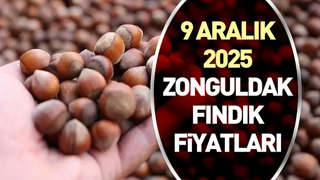 9 Aralık 2025 Zonguldak Fındık Fiyatları | Piyasa Sakin: Hafta Ortası Beklentisi Arttı