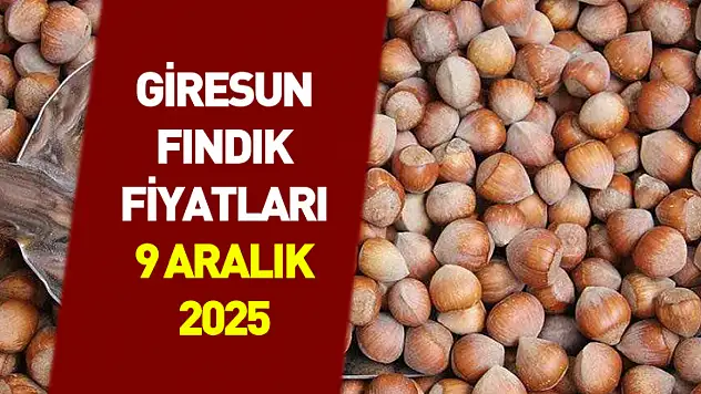 9 Aralık Giresun Fındık Fiyatları |Giresun'da Alım Gücü Artıyor