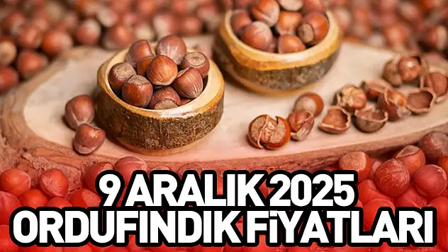 9 Aralık Ordu'da Fındık Fiyatları