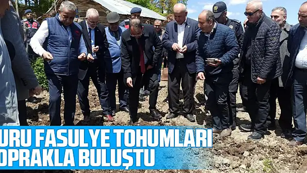 Kuru fasulye tohumları 1080 rakımda toprakla buluştu