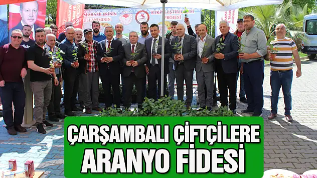 ÇARŞAMBALI ÇİFTÇİLERE ARANYO FİDESİ
