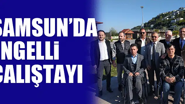 Samsun`da Engelli Çalıştayı