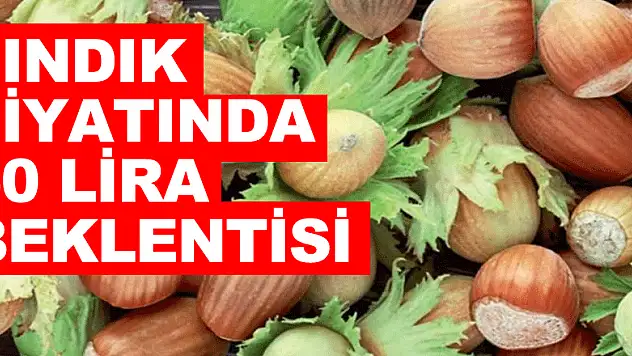 Fındık fiyatında 50 lira beklentisi