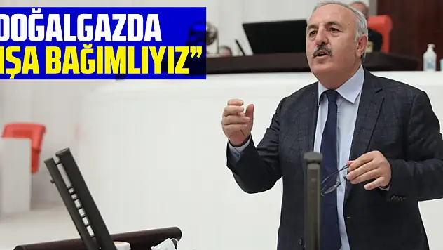 'Doğalgazda dışa bağımlıyız'